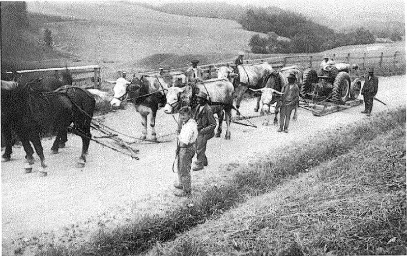 Alters und Pflegeheim Frienisberg: Wie früher gebauert wurde