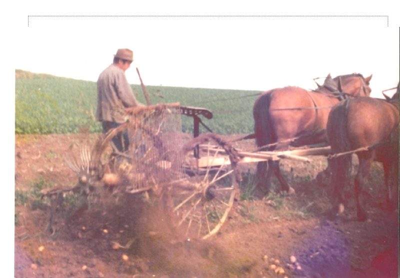 Alters und Pflegeheim Frienisberg: Wie früher gebauert wurde
