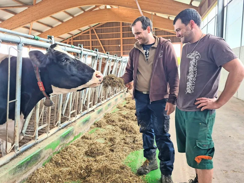Marco Kronauer (links) und sein Bruder Michaelwollen nichts dem Zufall überlassen, um den Kühen bestmögliches Raufutter vorzulegen.