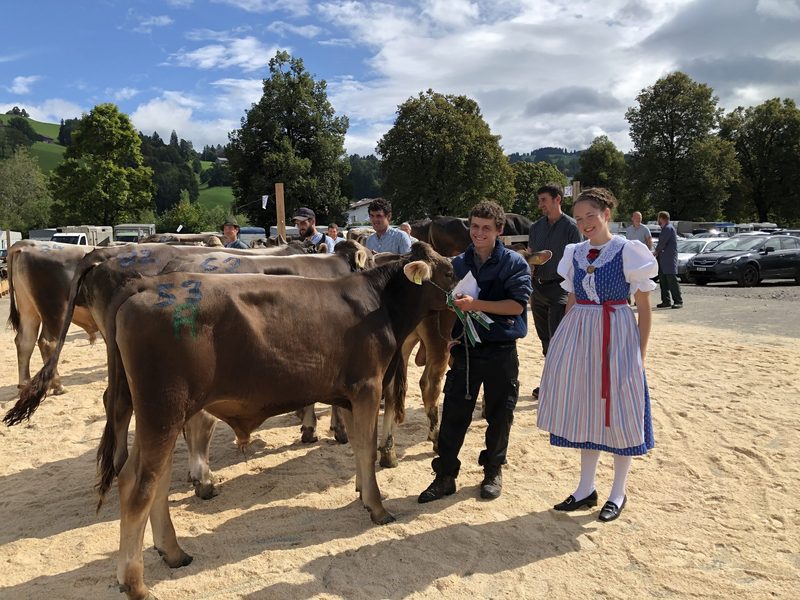 Doppelter Mister-Titel für Martin Schrepfer mit OB-Stieren Einar und Eidgenoss