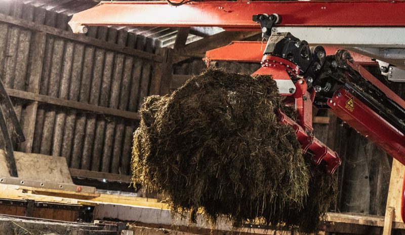 Die Silage in den Holzsilos wird ebenfalls mit dem Kran entnommen. Bild: Pia Neuenschwander