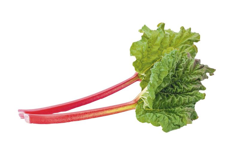 Rhabarber: fruchtiges Gemüse mit saurem Kick