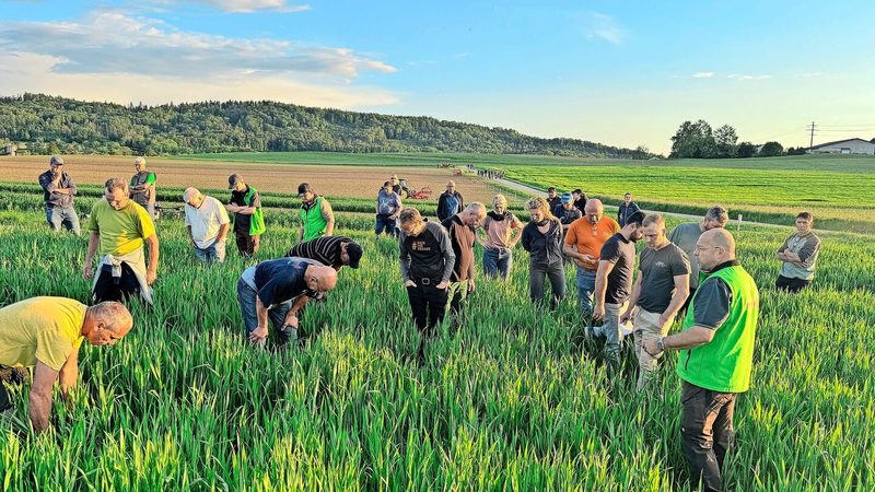 Wo ist die Untersaat? «Kommt herein und schaut sie euch an», lädt Daniel Füchter (vorne rechts mit grüner Weste) die Teilnehmer des Flurgangs in die Kultur ein.