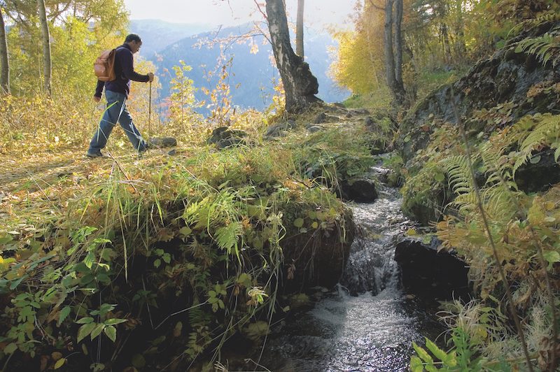 Agrotourismus Region: Natur, Wein und Wellness im Wallis und der Romandie