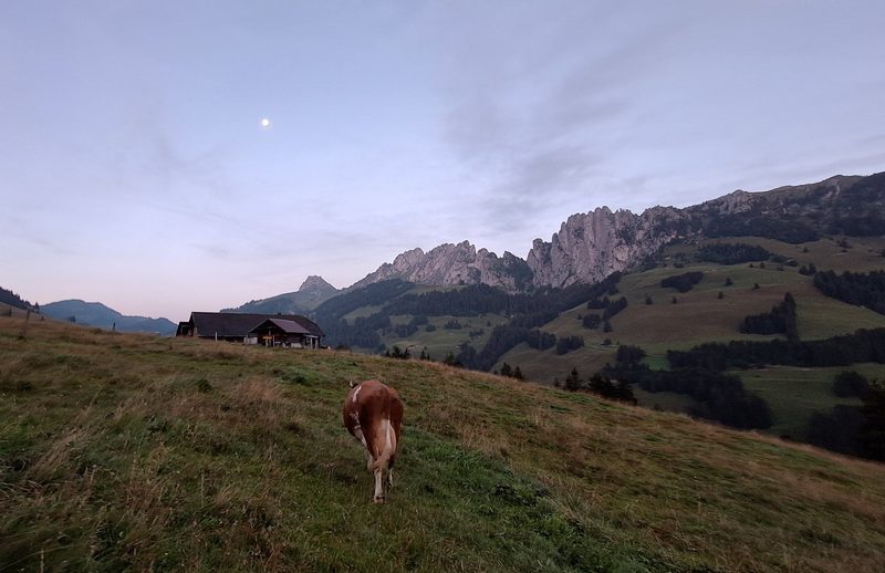 Jolanda Wyttenbach wechselt vom Lütschental nach Abländschen