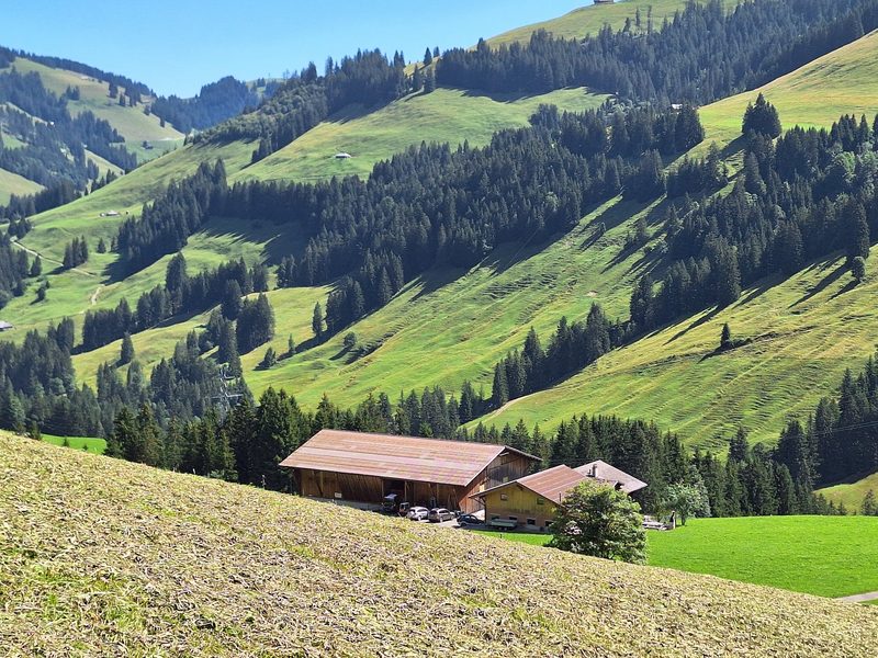 Jolanda Wyttenbach wechselt vom Lütschental nach Abländschen