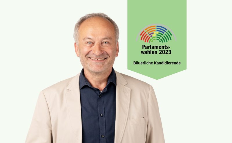 SVP gewinnt, Grüne verlieren – Bleibt Meret Schneider im Nationalrat?
