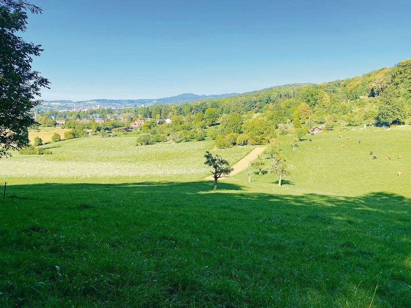 Blick vom Waldrand nach unten: Der Saum auf Ackerfläche (Saatbett in der Bildmitte) wird als Barriere den Wasserfluss aufhalten.