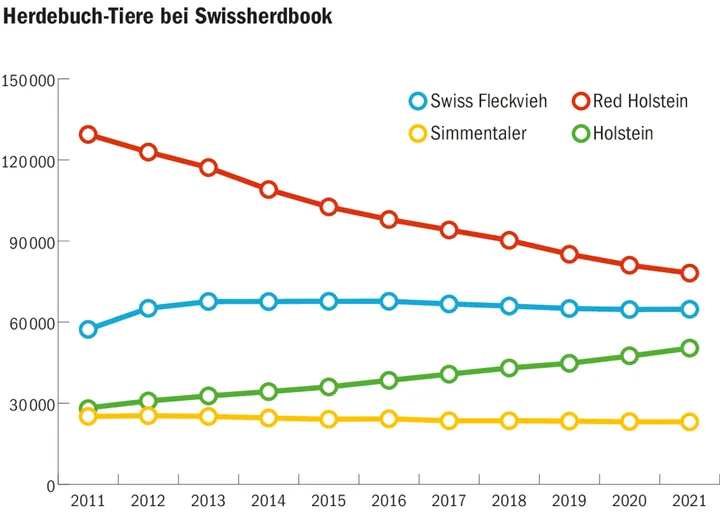 Während RH abnehmen, wächst die HO-Population. SI verlieren auch, aber weniger. SF bleiben stabil, haben aber rund ein Drittel Kreuzungstiere.