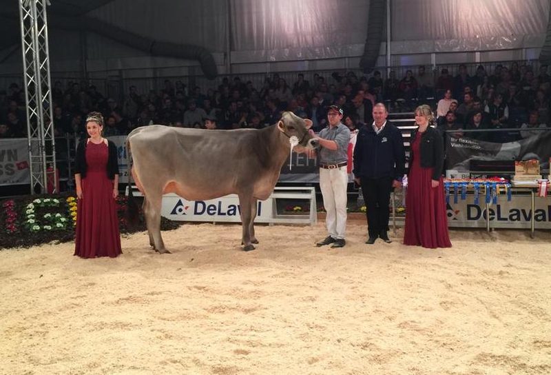 IGBS-Schau 2023: Phil Pinia ist die neue Champion