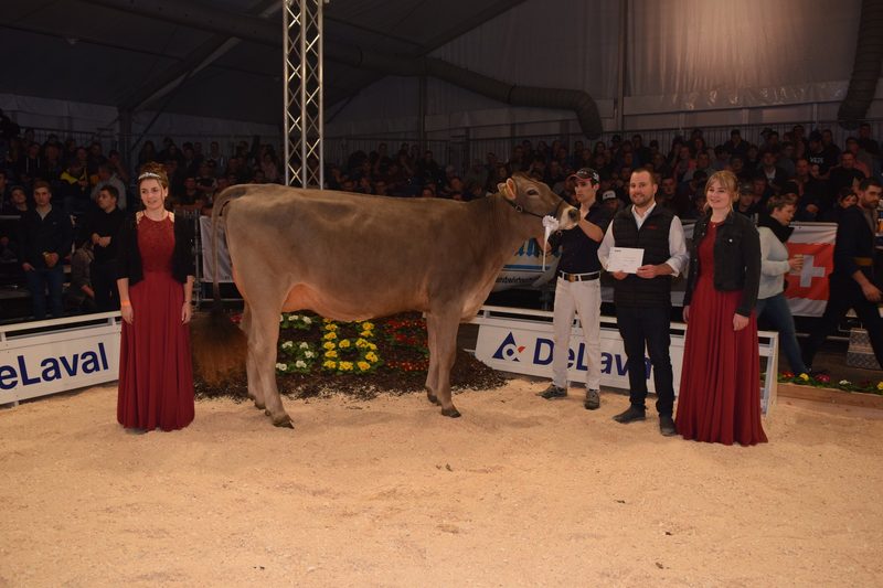 IGBS-Schau 2023: Phil Pinia ist die neue Champion