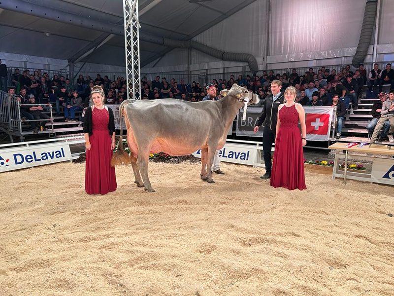 IGBS-Schau 2023: Phil Pinia ist die neue Champion