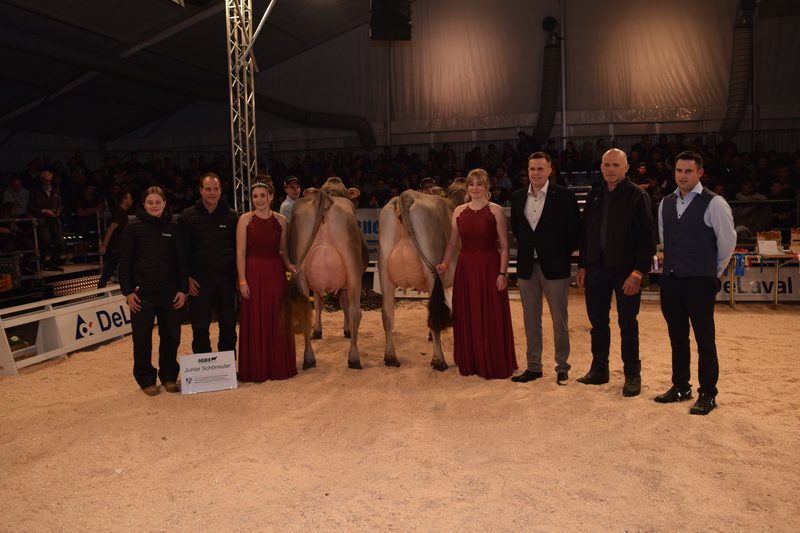 IGBS-Schau 2023: Phil Pinia ist die neue Champion