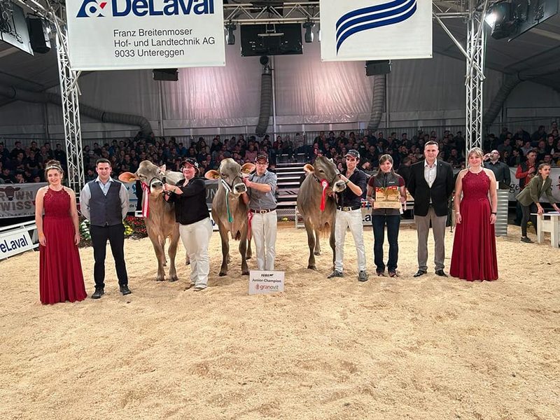 IGBS-Schau 2023: Phil Pinia ist die neue Champion