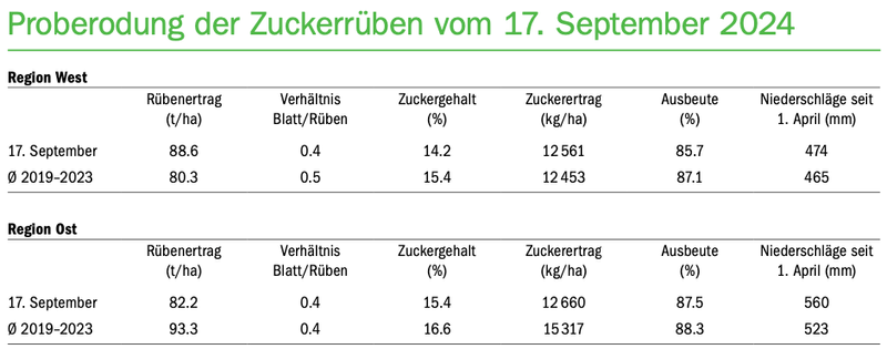 Gemischte Gefühle vor der Rübenernte