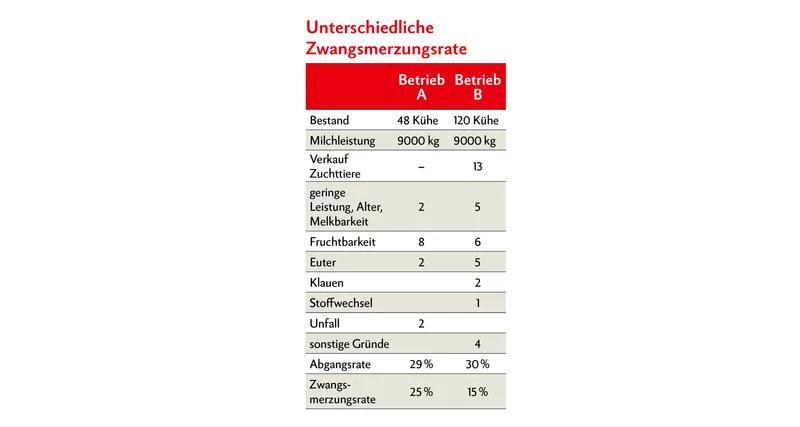 Abgangsursachen bei Milchkühen