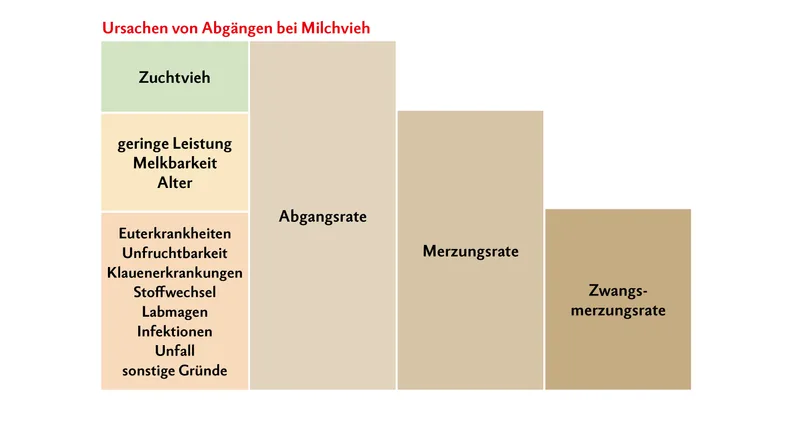 Abgangsursachen bei Milchkühen