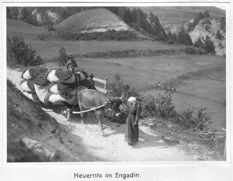 Als Braunvieh Schweiz die Milchleistungsprüfung einführte