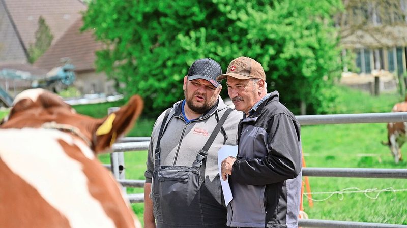 Die Experten Jürg Brönnimann (l.) und Werner Walter schauen bei der Zuchtfamilienschau ganz genau hin.