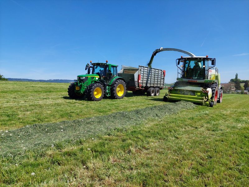 Gutes Futter noch besser machen mit Grashäcksel-Rundballen