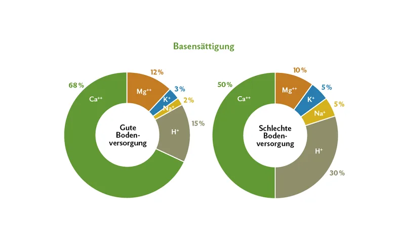 Kuchendiagramme zeigen gute und schlechte Bodenversorgung mit Kalzium, Magnesium, Kalium und Natrium.