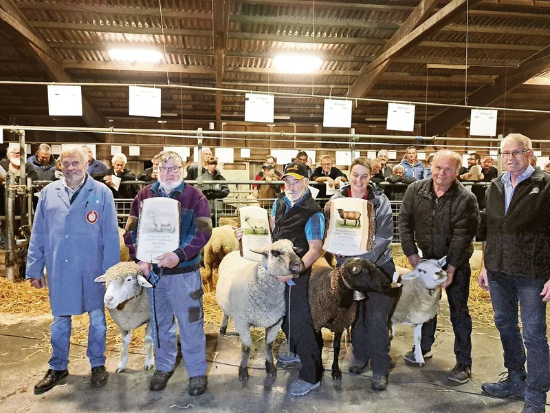 In Brunegg wurden gut 30 Auen aufgeführt und daraus vier Missen gewählt.