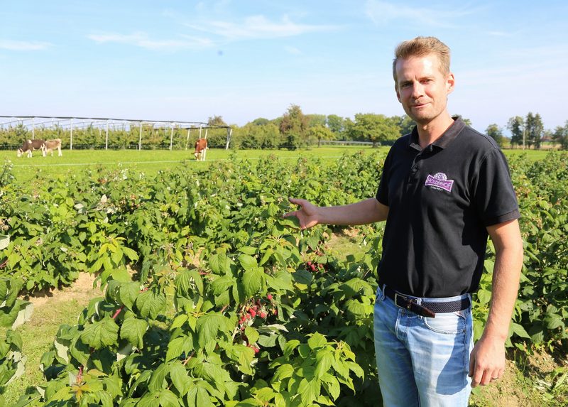 Peter Lenggenhager produziert Schweizer Beeren für Schweizer Sirup