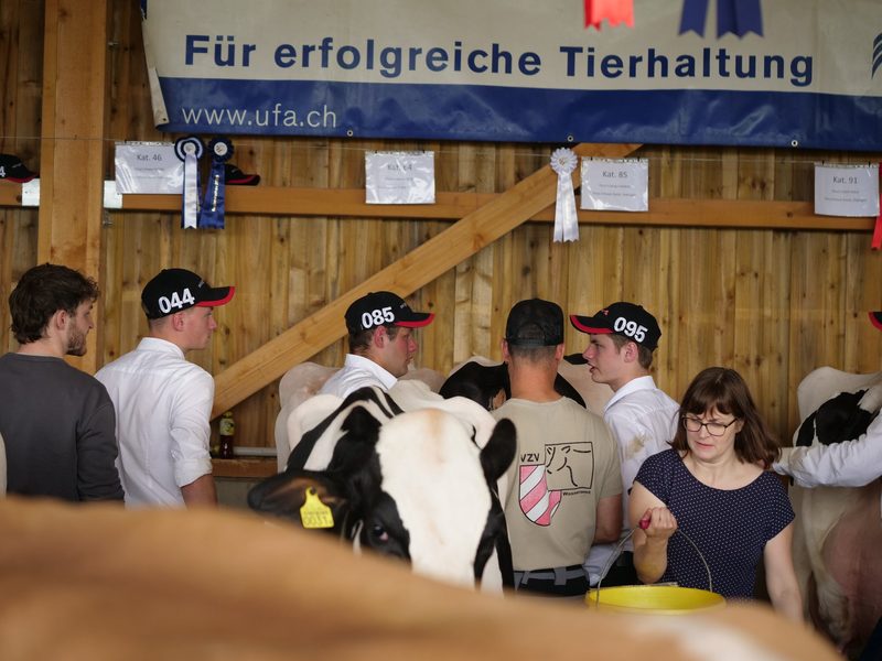Regionalschau in Oekingen: Ein Heimspiel für die Familie Flury