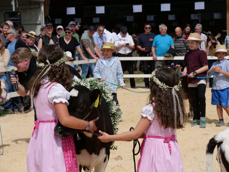 Regionalschau in Oekingen: Ein Heimspiel für die Familie Flury