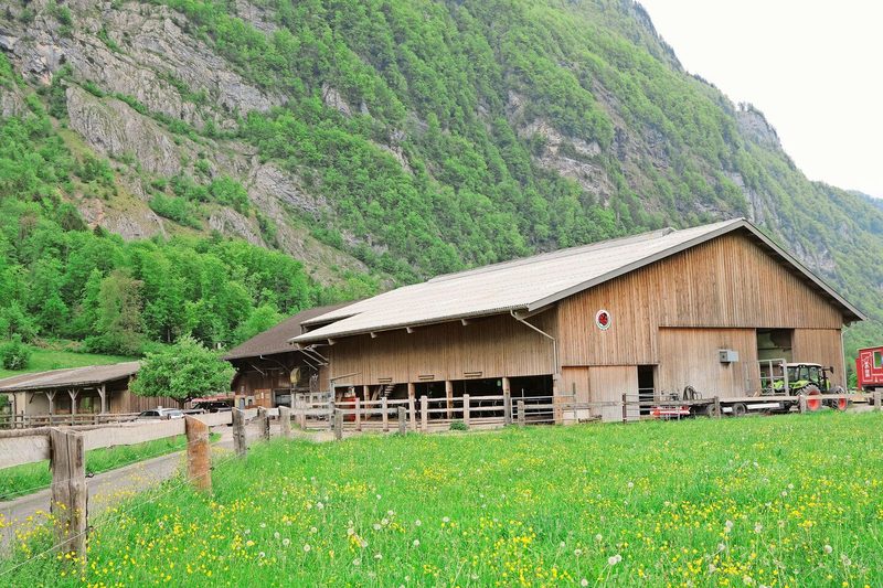 Der Betrieb steht etwas ausserhalb vom Dorf. 2016 wurde der neue Laufstall gebaut, seit 2017 hält die Familie Kubli Angus-Mutterkühe.