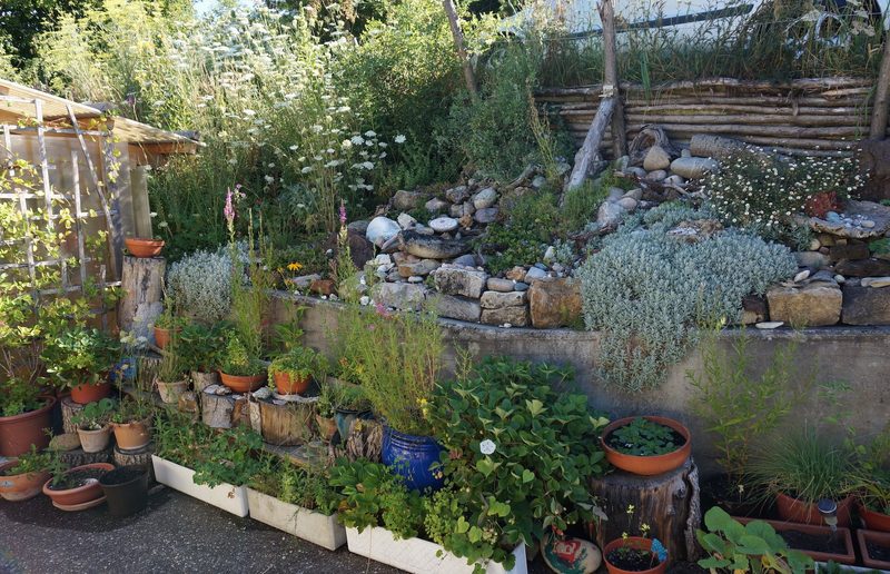 Gratisberatung für mehr Natur im Garten