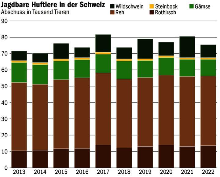 Aufgrund des jährlich schwankenden Futterangebots variieren die jährlichen Abschusszahlen der Wildschweine am stärksten.