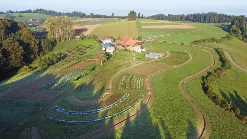 Die Keylines auf dem Katzhof sollen das Wasser auf der Kuppe speichern und verteilen.