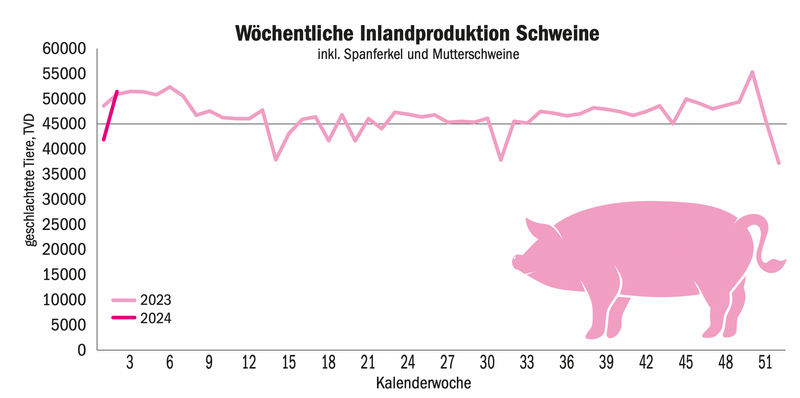 Die Mäster bräuchten mindestens Fr. 4.40 pro Kilogramm Schlachtgewicht