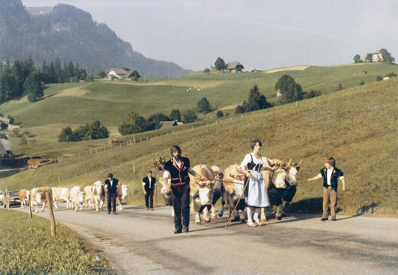Geschichten mit Hühnerhaut – eine Zeitreise zurück
