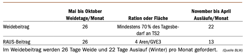 Der neue Weidebeitrag für Kühe heisst RAUS für Kälber – das sind die Anforderungen