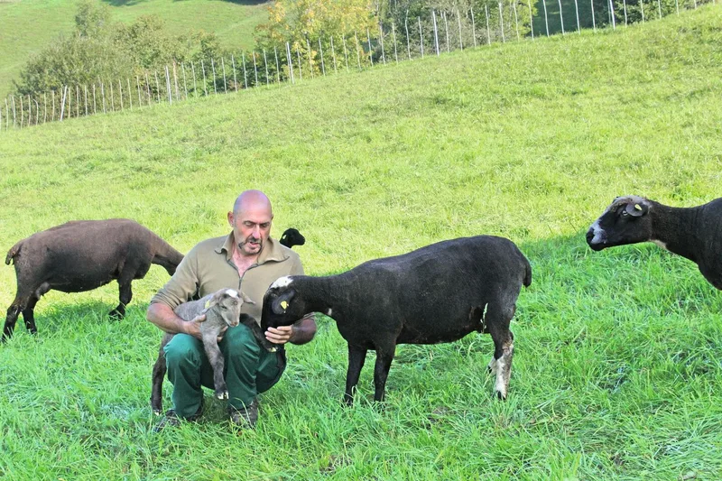 Kaspar Ziltener kniet im Gras und hält ein Lamm im Arm, während die Aue daneben steht und ihn beschnuppert.