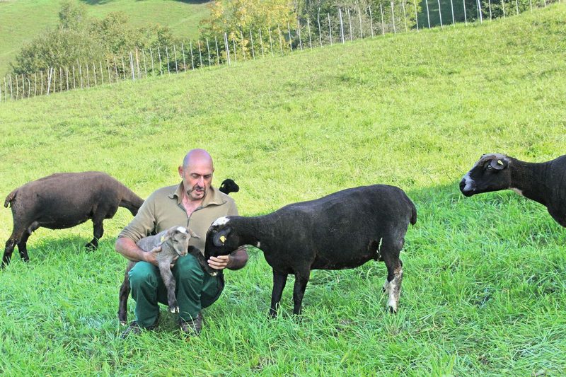 Kaspar Ziltener kniet im Gras und hält ein Lamm im Arm, während die Aue daneben steht und ihn beschnuppert.