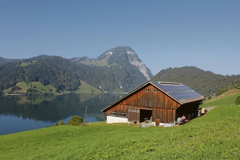 Der Stall der Familie Ziltener liegt oberhalb des Wägitalersees. Im Hintergrund zu sehen sind die Berge.