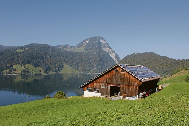 Der Stall der Familie Ziltener liegt oberhalb des Wägitalersees. Im Hintergrund zu sehen sind die Berge.