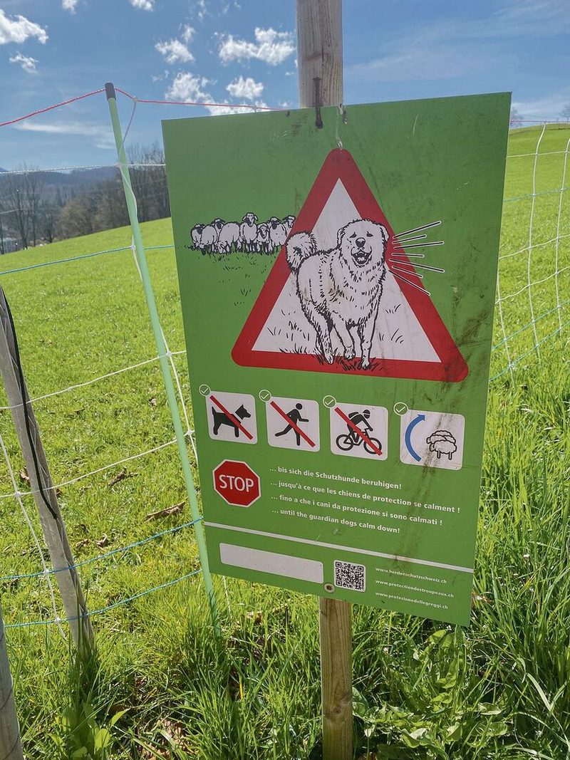 Grüne Schilder warnen Wanderer und Biker, dass hier Herdenschutzhunde an der Arbeit sind.