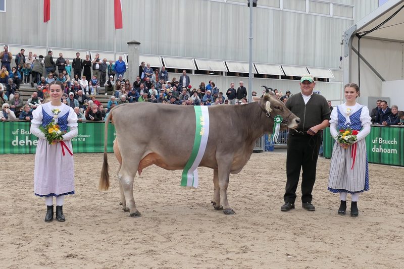 Miss Olma Brown Swiss ist Berna von Renzo Blumenthal