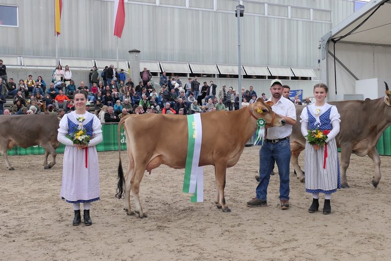 Miss Olma Brown Swiss ist Berna von Renzo Blumenthal