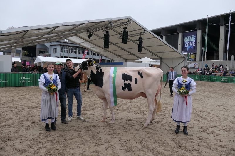 Miss Olma Brown Swiss ist Berna von Renzo Blumenthal