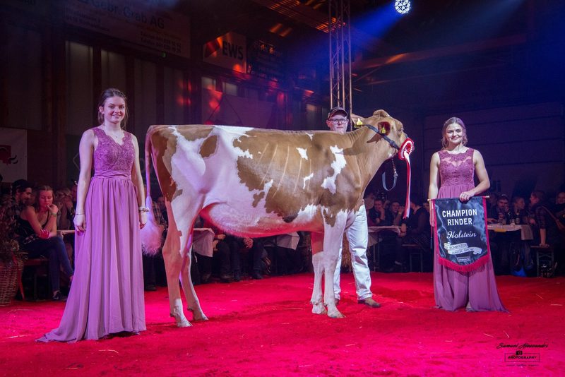 Erfolgreiche Jubiläumsausgabe der Schwyzer Junior Show