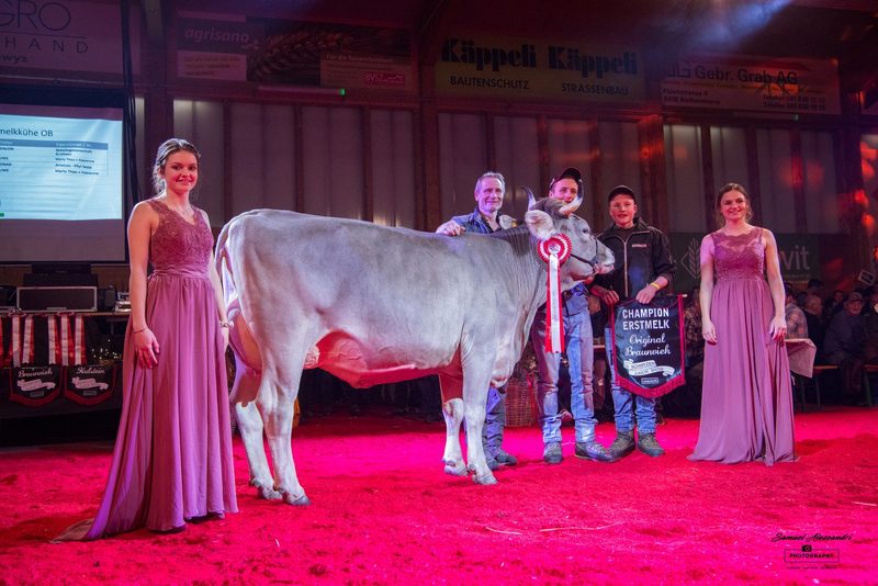 Erfolgreiche Jubiläumsausgabe der Schwyzer Junior Show
