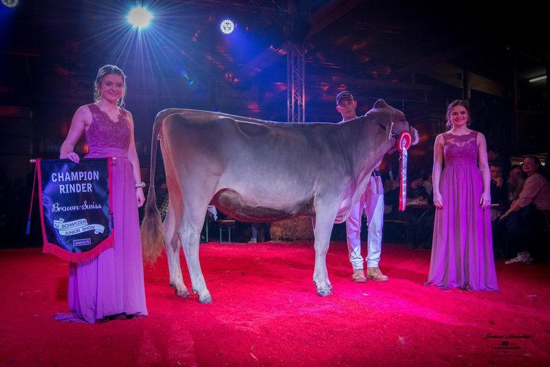 Erfolgreiche Jubiläumsausgabe der Schwyzer Junior Show
