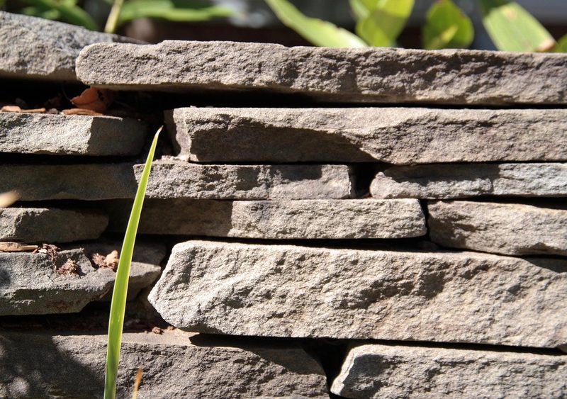 6 Tipps, mit denen Sie Vögel, Insekten und Kleintiere in Ihren Garten locken