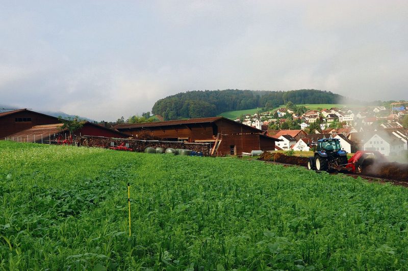 Der Versuch mit Gründüngung auf dem Betrieb von Marcel Frei. Im Hintergrund wird der Hofkompost gewendet.