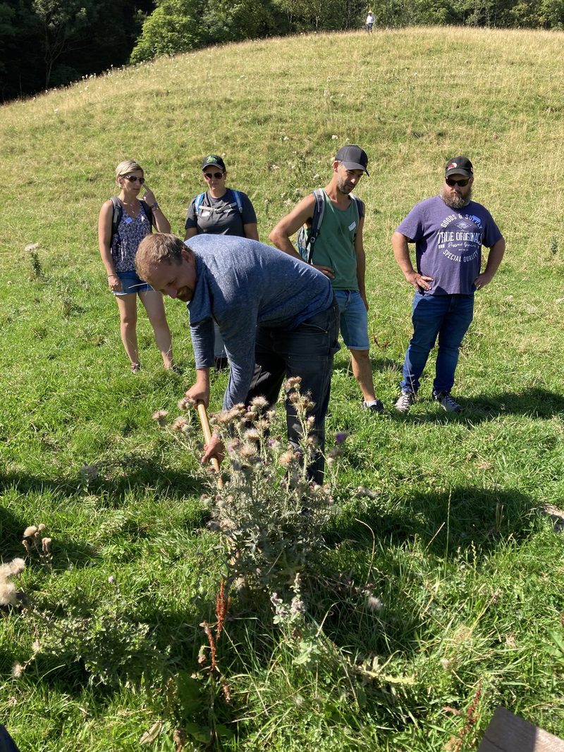 Unkrautbekämpfung auf Bio-Alpen bleibt eine anstrengende Fleissarbeit